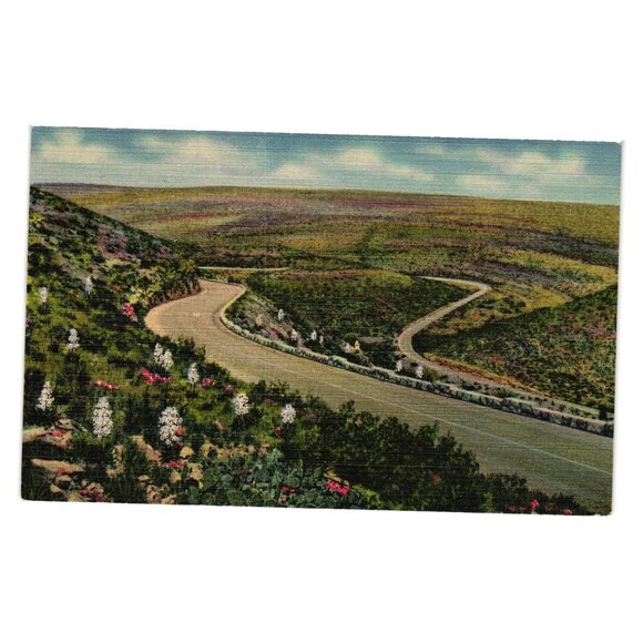 Vintage Scenic Drive Through Carlsbad Caverns National Park Postcard New Mexico - Picture 1 of 2